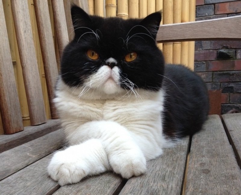 Viva Verne is nu Restobar Verne